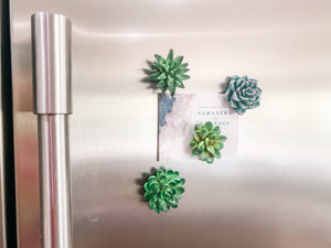 Mini 3D Succulent Resin Magnets