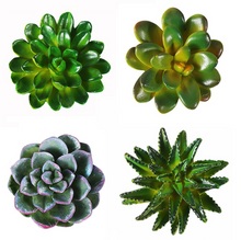 Load image into Gallery viewer, Mini 3D Succulent Resin Magnets