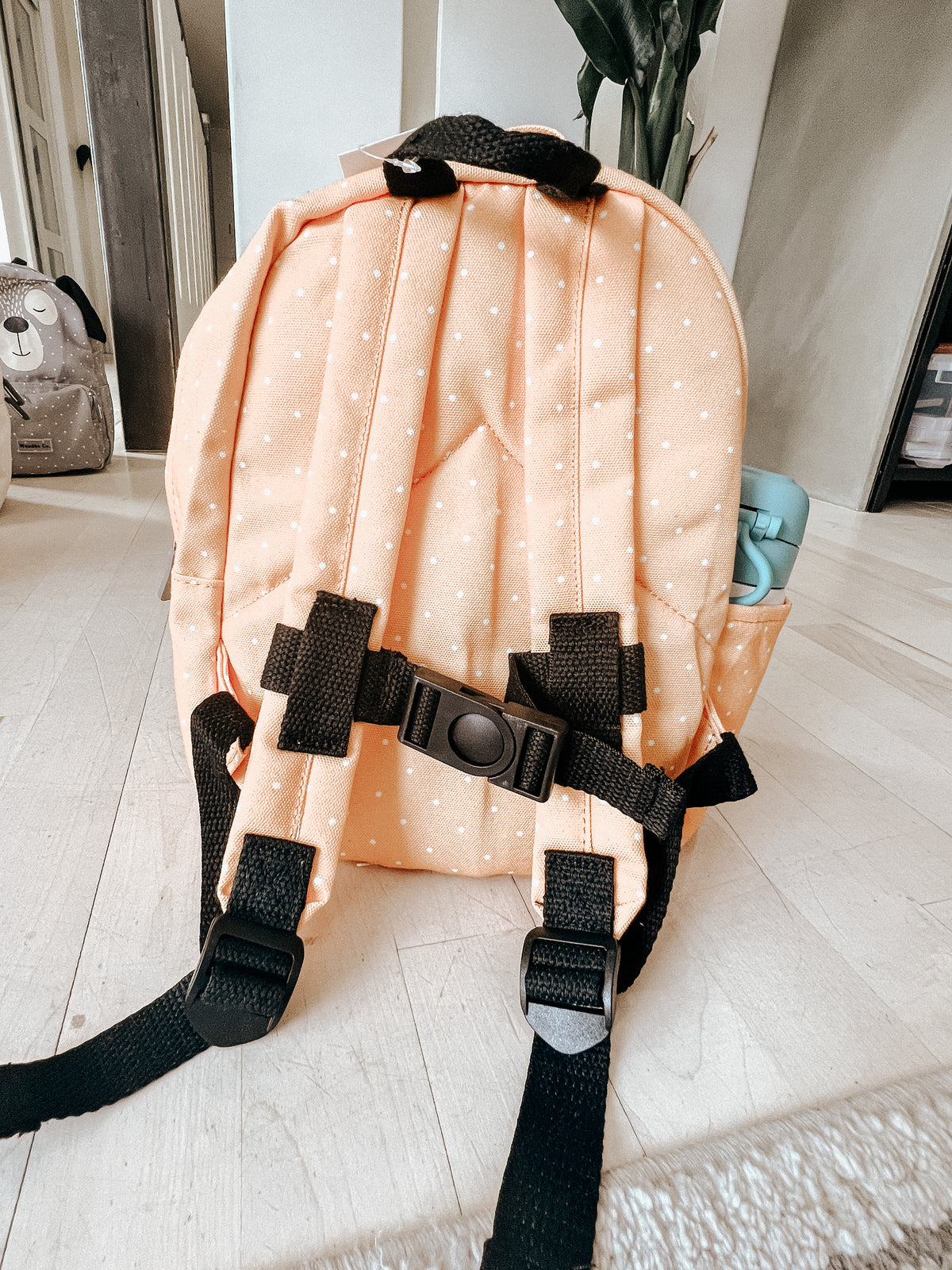 *NUEVAS mochilas de aventura para niños pequeños con mini animales